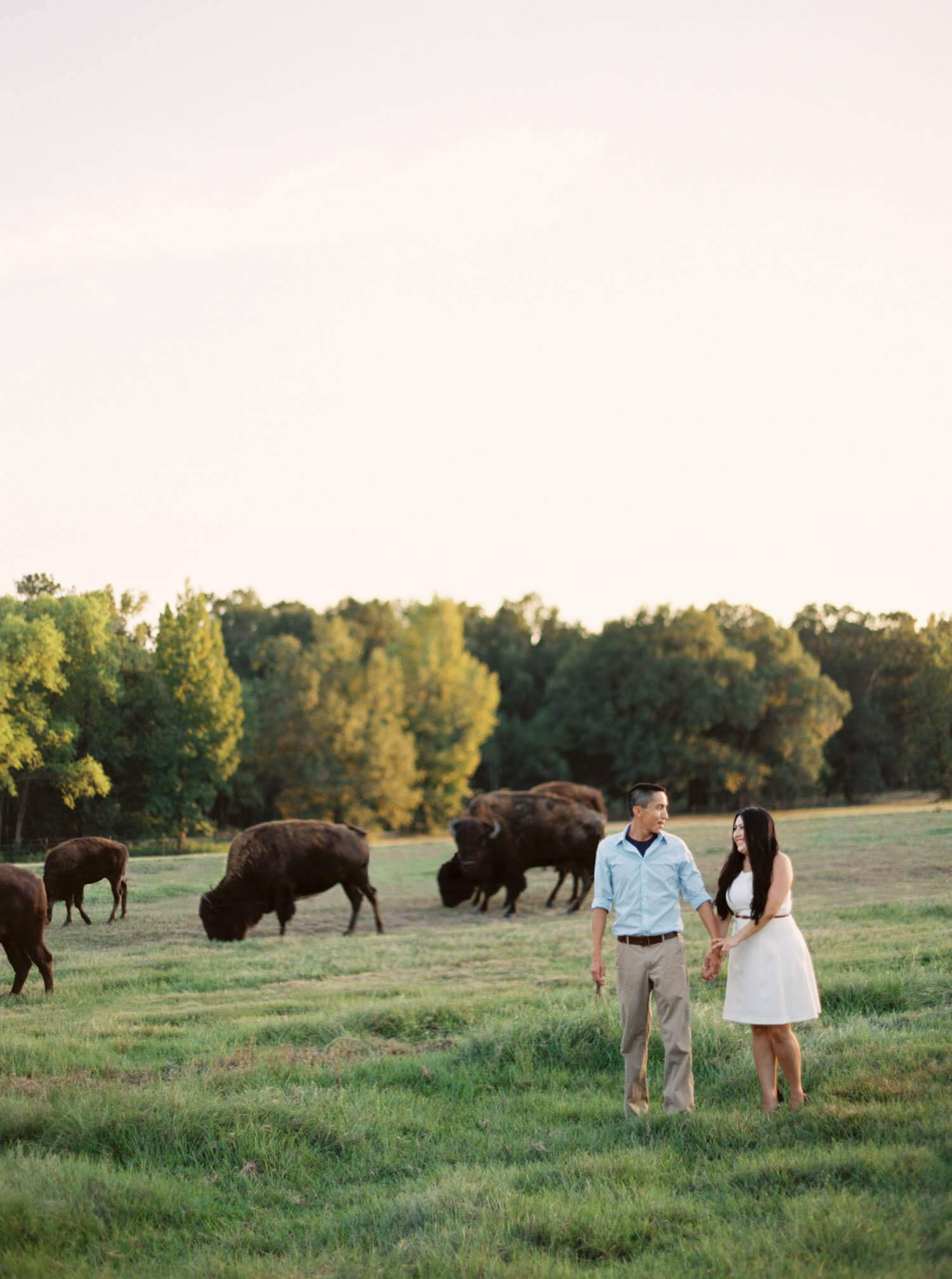 coushatta engagement wedding buffalo